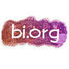 bi.org